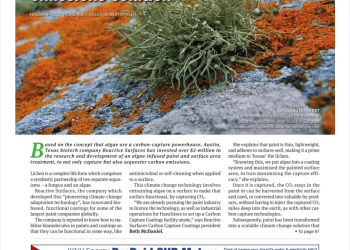 Algae offers new carbon emissions solution